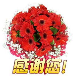 感谢您
